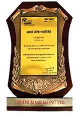 BEST<br>INNOVATION<br>AWARD-2015